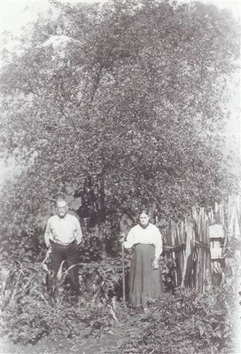 kilbytroy.jpg
This is a picture of Troy and Cosby Spencer Kilby.  If you look closely you can see Alia Kilby standing in the top of the cherry tree with her arms spread out as if she were ready to fly!  
Courtesy of Eleanor Jo Cox [email]ejcox@naxs.com[/email].
