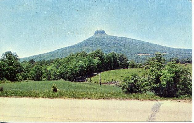 pilotmtn2.jpg
This is a view of Pilot Mountain in the distance.  Made in the 1950s.
