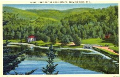 coneestate.jpg
From a 1930-45 era postcard.
