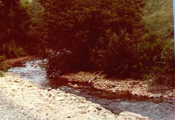 hltcrk2.jpg
Photo by Jeff Weaver 1978.

