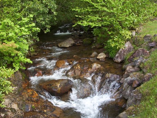 Helton Creek
This photograph was made in the summer of 2005 by Jeff Weaver, and shows Helton Creek near its headwaters on Whitetop Mountain.  It was reported that there was gold found in these creeks in 1897.  You can read about it in C. R. Boyd's 1897 book on [url=http://www.lulu.com/content/95550]Grayson County Geology[/url]
