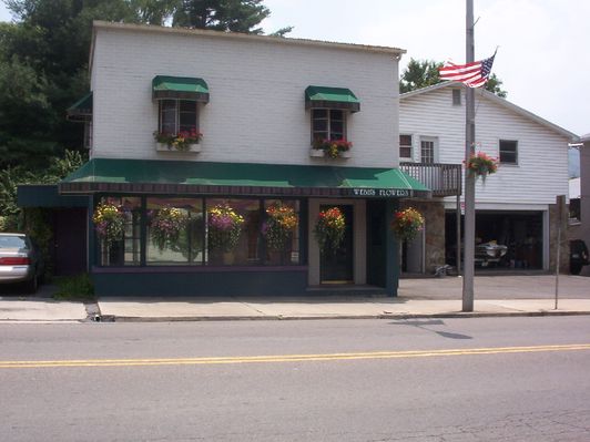 000_0705.JPG
Located on East Main street, Saltville, this photo was taken in June 2005.
