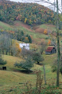 Roberts' Cove - Roberts' Cove
Fall in Grayson County Virginia.  Photo by Rich Ballard
