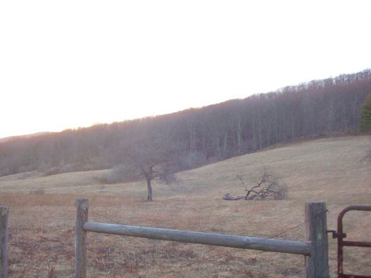 100_1262.jpg
This is a field at the Grayson-Smyth County line on Fairwood road.  Photo March 12, 2006 6:10 p.m.
