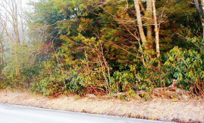 100_1264.jpg
This roadside view was taken in the Jefferson National forest, near Fairwood, Grayson County, Virginia, March 12, 2006.

