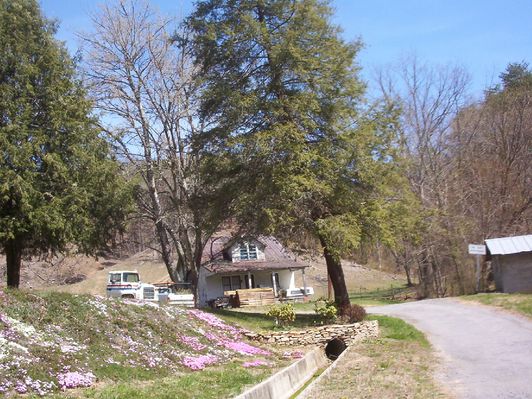100_1409.jpg
House at the head of the Pump Log Hollow.  Photo by Jeff Weaver, April 2, 2006.
