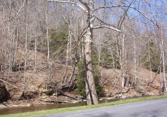 100_1424.jpg
This shot of the North Fork of Holston River was taken near its source.  Photo April 2, 2006 by Jeff Weaver
