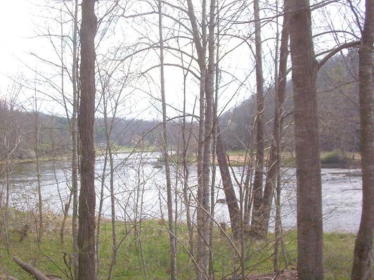 100_1572.jpg
This view was taken from the sliver of Alleghany County, NC west of New River.  This view of the river is looking north toward Mouth of Wilson, VA.  Photo by Jeff Weaver, April 16, 2006.
