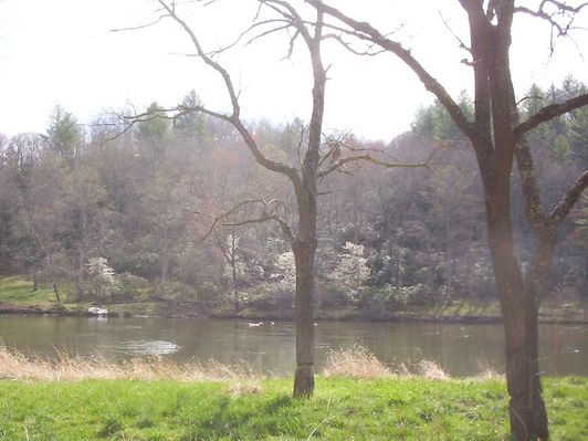 100_1573.jpg
This image was made a few yards south of the forks of the New River on the North Fork.  Photo by Jeff Weaver, April 16, 2006.
