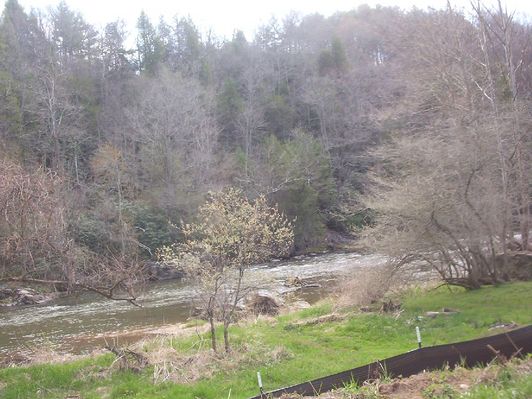 100_1580.jpg
OK, its not much of a falls, more like rapids, but it is called the Falls of the North Fork.  Photo by Jeff Weaver, April 16, 2006.
