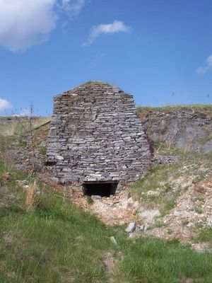 100_1644.jpg
This Lime Kiln was photographed on April 23, 2006 by Jeff Weaver.  In order to produce lime for agricultural use, limestone was dumped into the top of the furnance and heated.  A troll car ran in the enterance at the bottom and pulled out when sufficiently broken down limestone was produced.  It was then transferred to wagons and hauled to where needed.  This faciility was last used in the 1920s.  Information courtesy of Jesse Choate.
