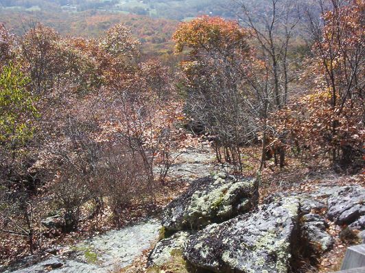100_1753.jpg
This photo shows some of the rock formations at Massie Gap on Haw Orchard Mountain.  Photo by Jeff Weaver, October 18, 2006.
