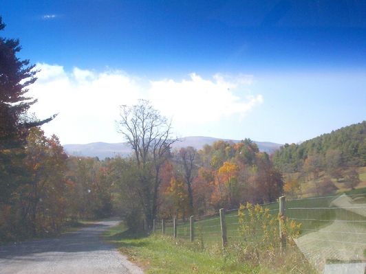 100_1766.jpg
This is a view of Pine Mountain taken from Razor Ridge Road, October 18, 2006 by Jeff Weaver.

