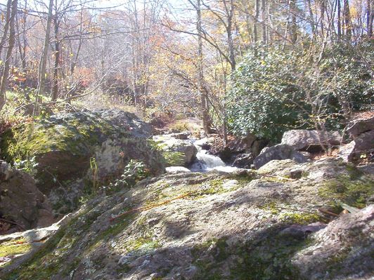 100_1773.jpg
This October 18, 2006 photo by Jeff Weaver shows a small water fall on Fox Creek.  
