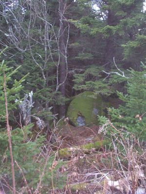 100_1913.jpg
Photo by Jeff Weaver, December 6, 2006.  These trees and rocks are just a few feet from the summit at 5560 feet.
