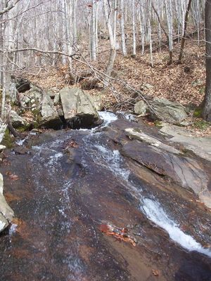 Wolf Knob - Falls of Fees Branch
Photo by Jeff Weaver, January 24, 2007.
