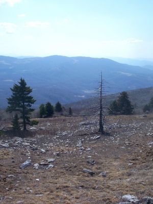 Whitetop - View to the South
This photo was taken 5:40 p.m., March 25, 2007by Jeff Weaver
