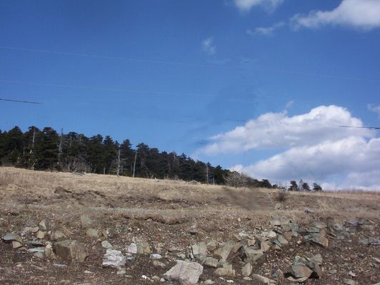 Whitetop - View of the Summit
This photo was taken March 25, 2007 by Jeff Weaver
