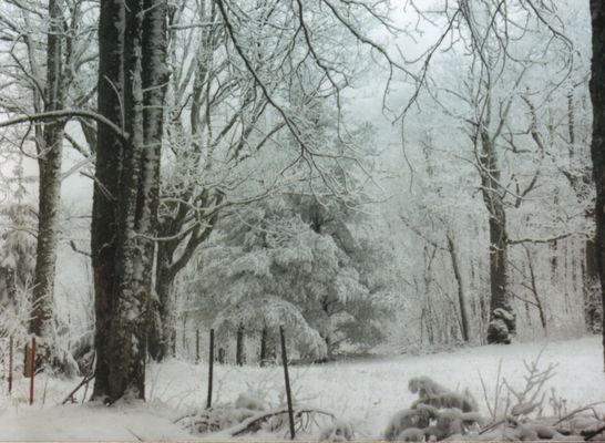 1996SNO.jpg
This photo from Mary C. Blevins, shows the heavy snow in February 1996.
