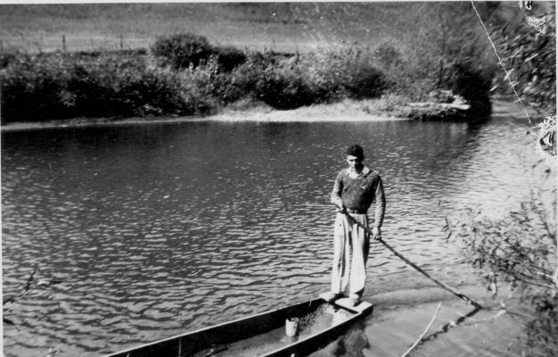 342.jpg
This is Albert Neaves poling a flat bottom boat on the North Fork of New River about 1946.
