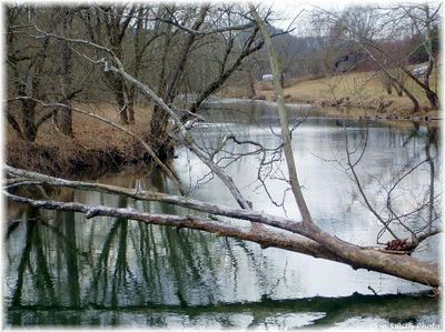 Brumley Gap - Sycamore Bridge
SYCAMORE BRIDGE  /  NORTH FORK OF HOLSTON  /  WASHINGTON CO., VA.  /   FEBRUARY 20, 2008   Courtesy of Don Smith [email]dsmith1-43@comcast.net[/email]

