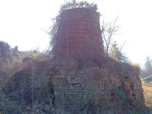 Barren Springs - Boone's Furnace
This furnace is located on Boone's Furnace Rd., Barren Springs, Wythe Co. VA.   Courtesy of David Arnold [email]david.arnold@adelphia.net[/email]
