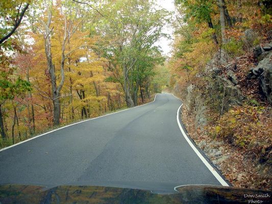 Corn Valley - Route 80
RT. 80 NORTH  /  RUSSELL COUNTY, VA.  /  "RICH MOUNTAIN" ON CLINCH  /  OCT.17, 2007  /  1:16 P.M.  Courtesy of Don Smith [email]dsmith1043@comcast.net[/email]
