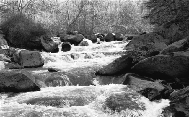 ClitoFallsfromneg..jpg
Historic site of Clito Mill & P.O. on the Elk Creek, Providence Dist., Fries, VA.  Courtesy of David Arnold.[email]david.arnold@adelphia.net[/email].
