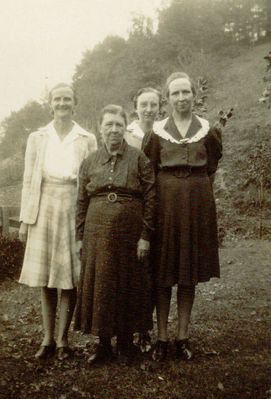 FrostFamily.jpg
This picture is labeled on the back "Frost Family." One of the ladies in the picture is Laura Frost, but I cannot identify the others.  Courtesy of Mike Marshall [email]mmarshall13@triad.rr.com[/email]

