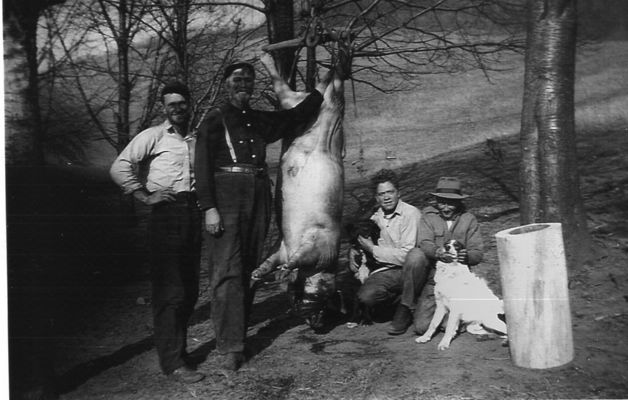 Hog_Killing_pic.jpg
Once upon a time, hog killing was an annual ritual for each family.  This photo shows such a scene.  Courtesy of Lonnie Jones.  [email]lonnie0809@skybest.com[/email].
