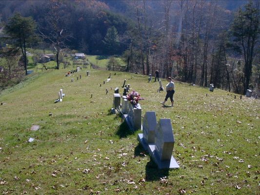 Kell Cemetery, Smyth County,Virginia
Kell cemetery, from the upper side.  It is MUCH steeper than it looks in this picture and when you get to the last stones at the bottom, there is a almost straight drop. The cemetery is on top of a hill. There is a pretty rough little rd that comes up to the foot but, we opted to walk up. 
Date Taken: November 06, 2004   Courtesy of Nanalee Wrenn

