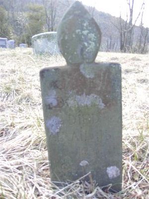 PDR_3001.jpg
Oddly shaped grave marker, old Higgins Cemetery.  Courtesy of Carol Lindamood [email]circuitrider@tcia.net[/email]
