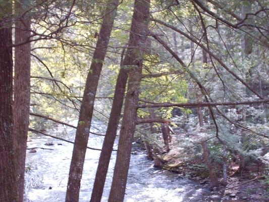 Picture 048.jpg
Photo April 29, 2006 by Jeff Weaver.
