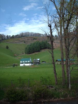 Picture 104.jpg
The cabin behind the white house was the home of Francis Sturgill, Jr. and Phebe Weaver.  Photo by Jeff Weaver, April 30, 2006.
