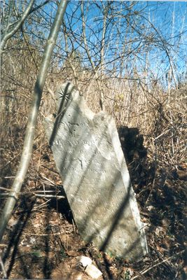PostonCemSmythWmPoston1760-1823.jpg
Grave marker for William Poston 1760-1823.  Courtesy of Jack Hockett [email]tlas101@aol.com[/email]
