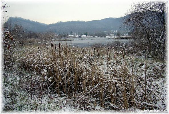 Saltville - Well Fields
WELL FIELDS  /  SALTVILLE, VA.  /  DECEMBER 5, 2007  /  10:48 A.M.  Courtesy of Don Smith [email]dsmith1043@comcast.net[/email]

 

