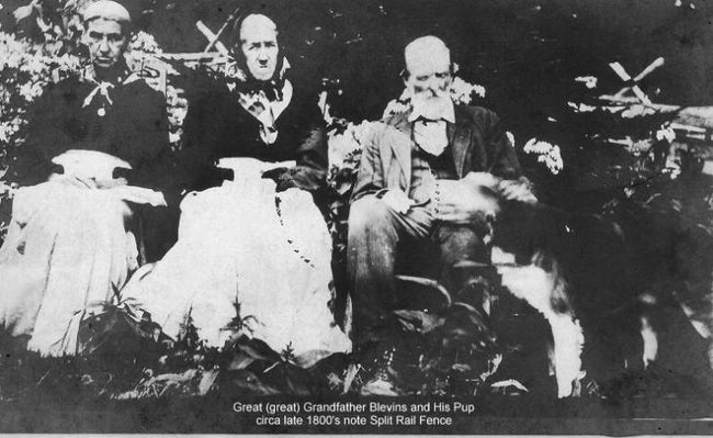 WellsBlevinsabout1860s.jpg
Here is a photo of Wells Blevins. I believe the Info on the bottom of photo is incorrect for, according to Ron Blevins, Wells was born 8 Oct 1795 and died 25 Dec 1865. I do not know who the women are in the photo.  Courtesy of Irene Baldwin [email]ibaldi@erols.com[/email]

