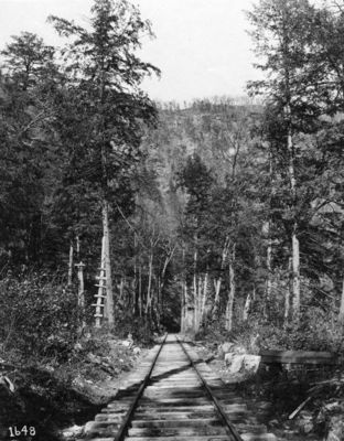 abingdonbranch1.jpg
Another scenic view from the 1920s probably near Damascus.
