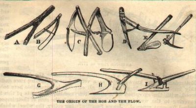 Origins of the Hoe and Plow

