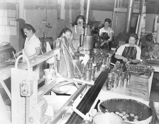 applesatchilhowie.jpg
This 1950 photo shows women processing apples at Bonham Brothers.
