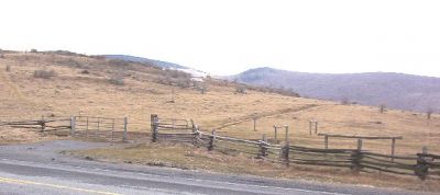 View of the Appalachian Trail near the Grayson Smyth County Line at Route 600
