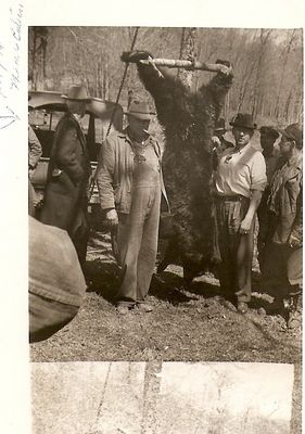 Mount Rogers - Bear Hunt
This is a circa 1930 bear hunt photo.  Courtesy of Wade Weekes [email]weekesh@earthlink.net[/email]

