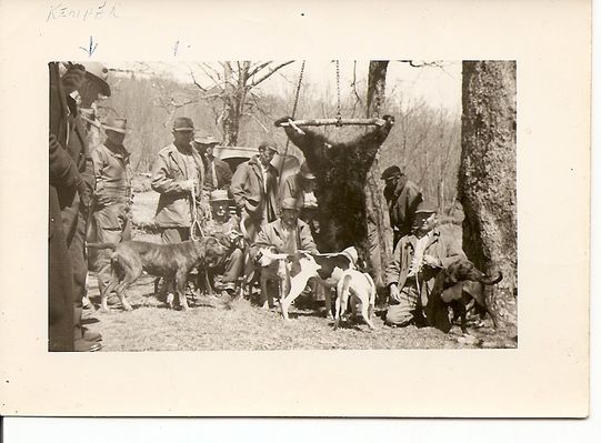 Mount Rogers - Bear Hunt
This is a circa 1930 bear hunt photo.  Courtesy of Wade Weekes [email]weekesh@earthlink.net[/email]
