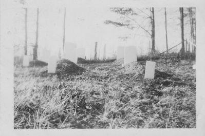 Grassy Creek - David Blevins Cemetery
This photo dates from the 1940s.
