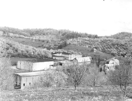 bonhambros.jpg
This mid-20th century view shows the orchards and packing houses of Bonham Brothers Orchards.
