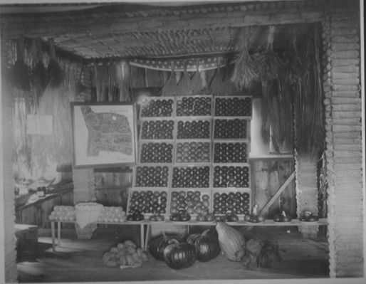 Chilhowie - Apple Exhibit
This photo courtesy of Edna Bonham Love shows the 1916 exhibition that H. L. Bonham made for the Smyth County Fair.  Shown are a variety of apples and other agricultural products.
