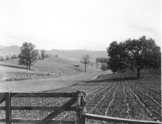 bonhamfarm.jpg
From a 1950 photograph.

