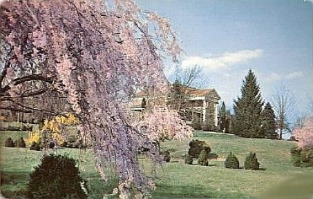 boxwoodfarms.jpg
This is from a 1940s era postcard.
