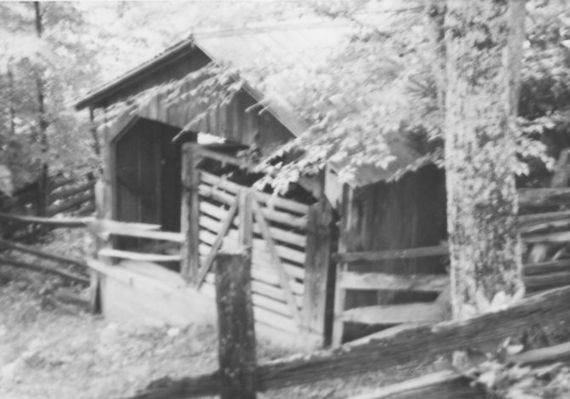 cattlestation.jpg
This is a June 1978 photo of the cattle station on Fees Ridge.
