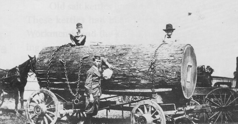chilhowielumber.jpg
This is an early 20th century photo, showing the size of some of the timber in the area at the time.
